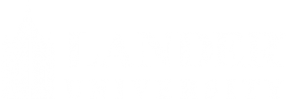 Logo Alt